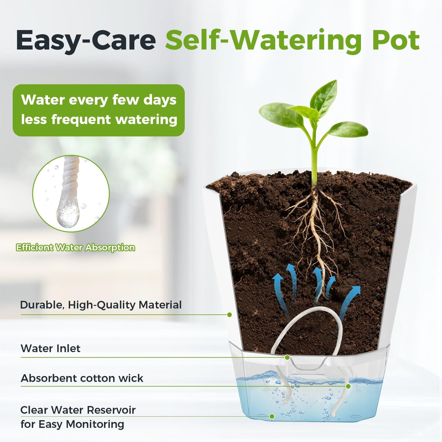 6 Pack Self Watering Plant Pots 6 Inches Self-Watering Planters for Indoor and Outdoor Plants African Violet Succulent Pots Clear Pot for Plants Large Herb Orchid Flower Houseplant Plant, White