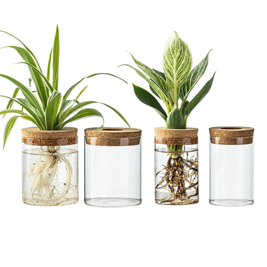 CHPINDAM Glass Propagation Stations for Plants -Desktop Flower Vases,Propagation Flower Vases Set – 2 Large & 2 Small for Plant Cuttings，for Living Room, Bedroom Decoration,Home,Office Decor (4)