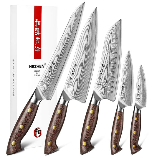 HEZHEN Damascus Chef Knife Set, 67 Layers Damascus Steel, 5PCS, Ultra Sharp, Professional Kitchen Knife Set for Chefs and Home Cooking, Ergonomic Micarta Handle, Gift Packing