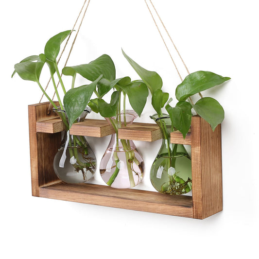 Plant Propagation Station Plant Terrarium Unique Birthday Gifts for Women Home Office Decor Planter with Wooden Stand - 3 Bulb Glass Vase