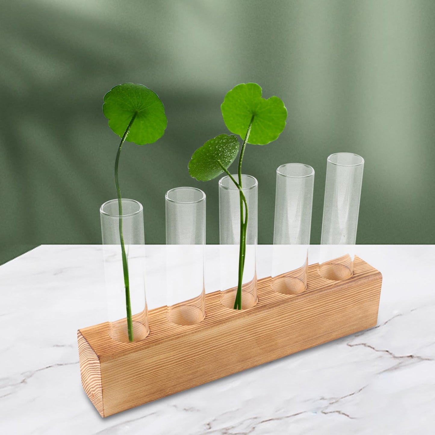 VICASKY Hydroponic Glass Vase with 5-Hole Wooden Stand, Tabletop Plant Propagation Station for Indoor Flower Plant Terrarium and Home Décor