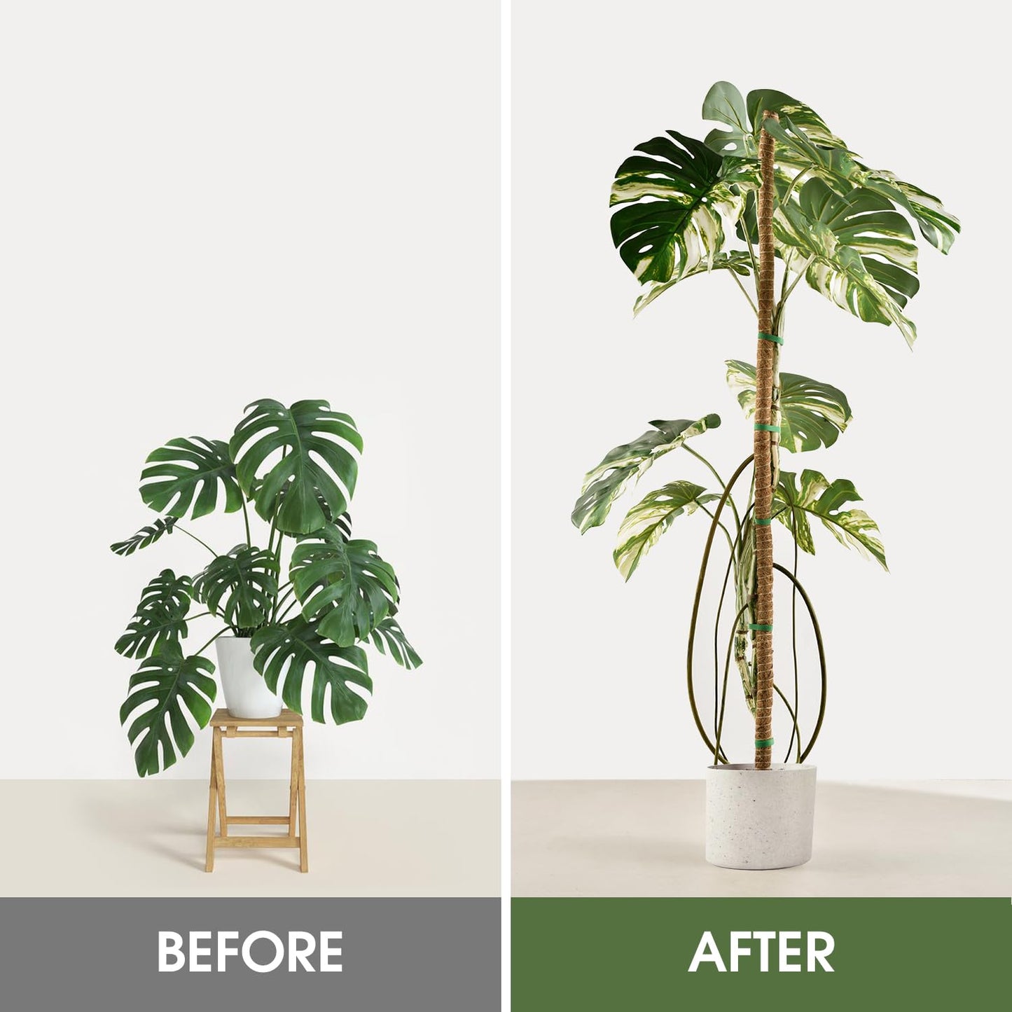 Handmade Coco Coir Moss Pole - 48 Inch Bendable Sticks Support for Climbing Plants, Monstera, Indoor Plants to Grow Upwards