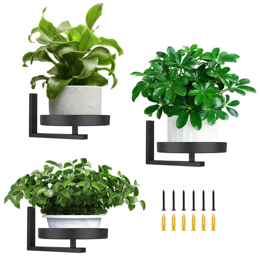 3 Pack Wall Planters for Indoor Plants,Wall Mounted Plant Holder, Metal wall plant holder,Metal Wall Plant Holder—Space-Saving and Ideal for Decorating Bedrooms, Living Rooms, Kitchens, Offices, and Bathrooms
