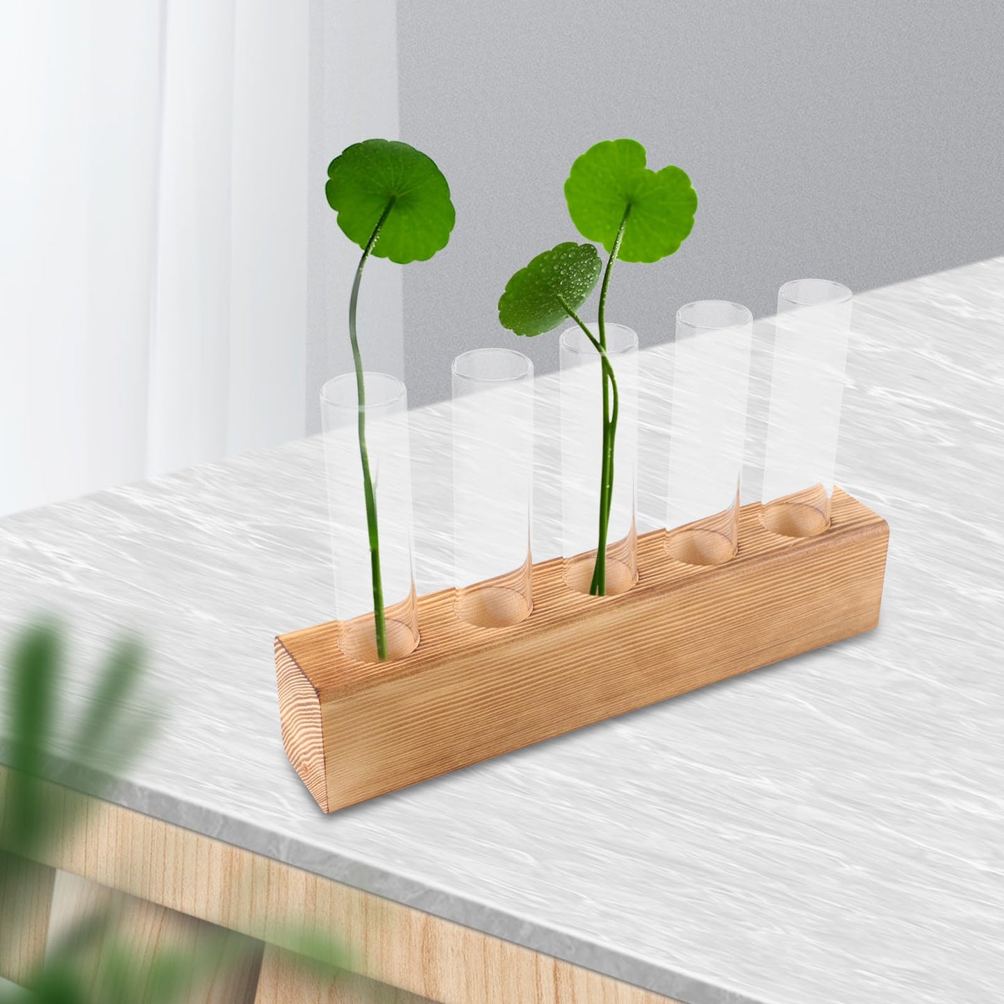 Gadpiparty Hydroponic Plants Vase with 5-Hole Glass Test Tubes and Wooden Stand, Water Propagation Station for Indoor Plant Growth and Desktop Terrarium Decor