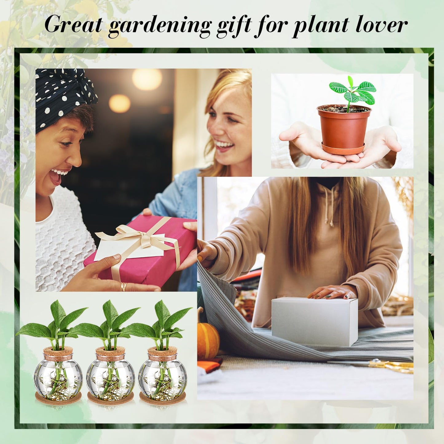 Baderke 6 Packs Propagation Vases for Plants Plastic Plant Propagation Station with Hole Lid and Cork Coasters Plant Growing in Water Hydroponic Home Office Table Decoration(Fish Bowl Style)