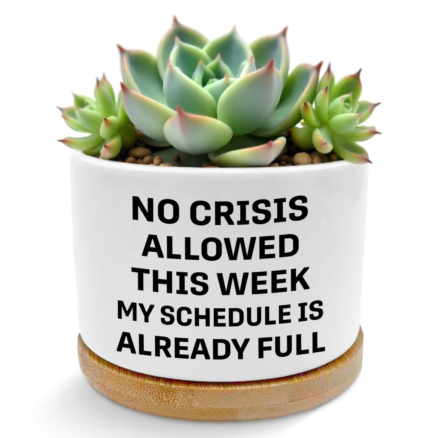 ROXMART Funny Office Gifts Plant Pots, Sarcastic Gifts for Women Men Coworker Boss Succulent Planters, No Crisis Allowed This Week Ceramic Plant Flower Pots for Home Office Desk Table Shelf(No Plants)