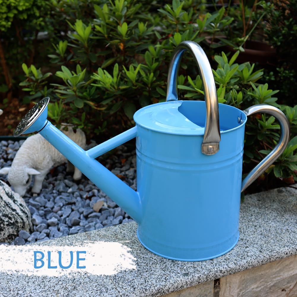 yourjoy Metal Watering Can, One Gallon Watering Cans Stainless Steel for Outdoor Indoor Garden Plants Watering (Stainless Steel Handle Blue)