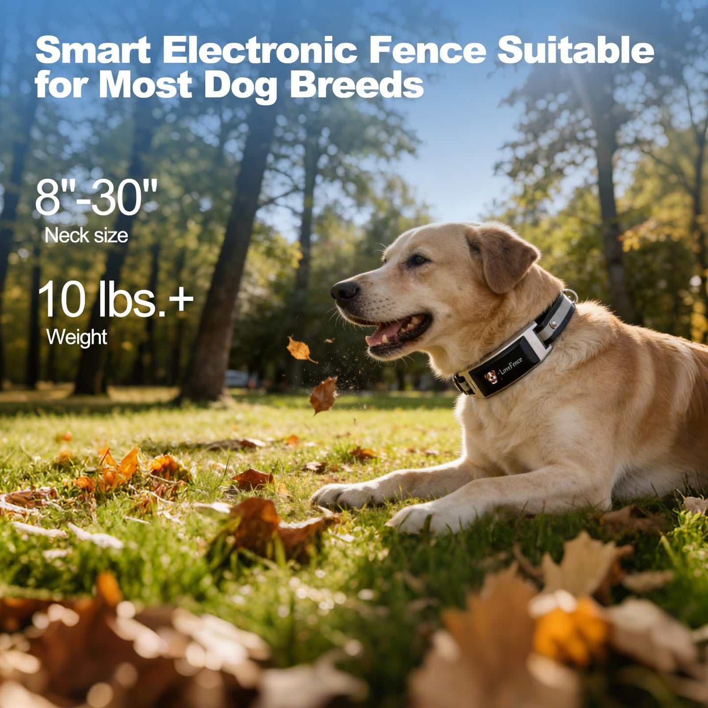 Wireless Dog Fence, GPS Dog Collar Fence System with Real-Time Tracking & Training, Portable Invisible Fence for Outdoor Use, Rechargeable Waterproof Collar Adjustable for Medium Large Dogs