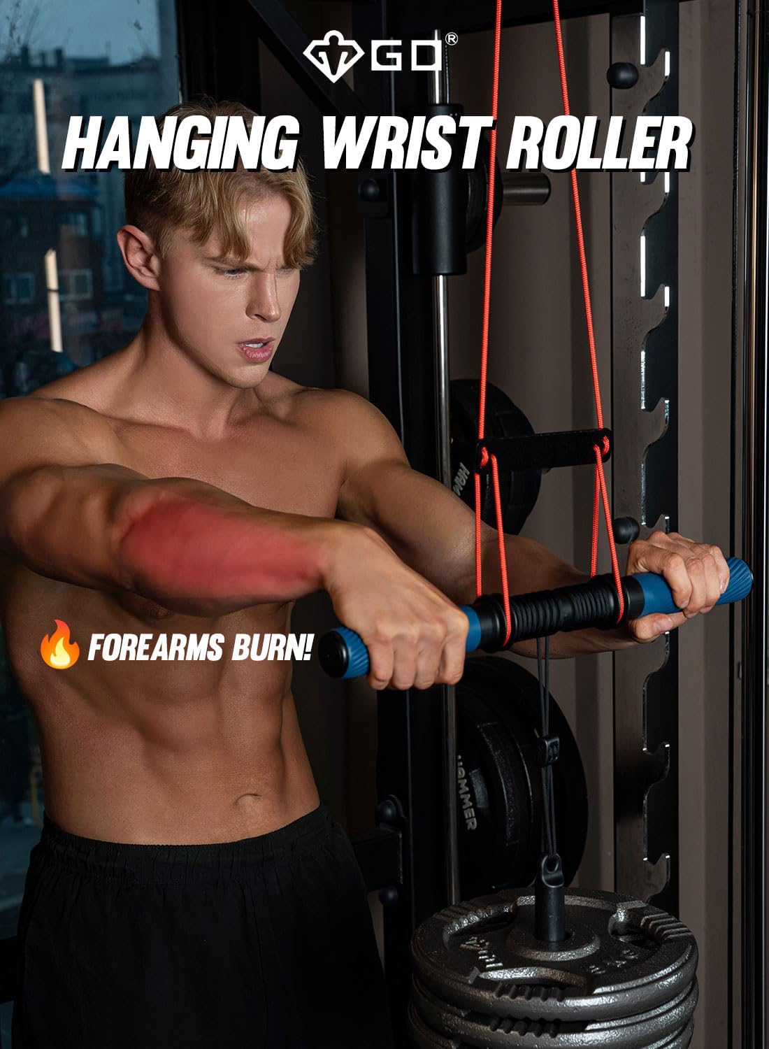 GD Hanging Wrist Roller Forearm Blaster- Forearm Strengthener Exercise Equipment Wrist Trainer for Muscle building and Injury prevention Hand Grip Strength (Hanging Rope Color : Black)