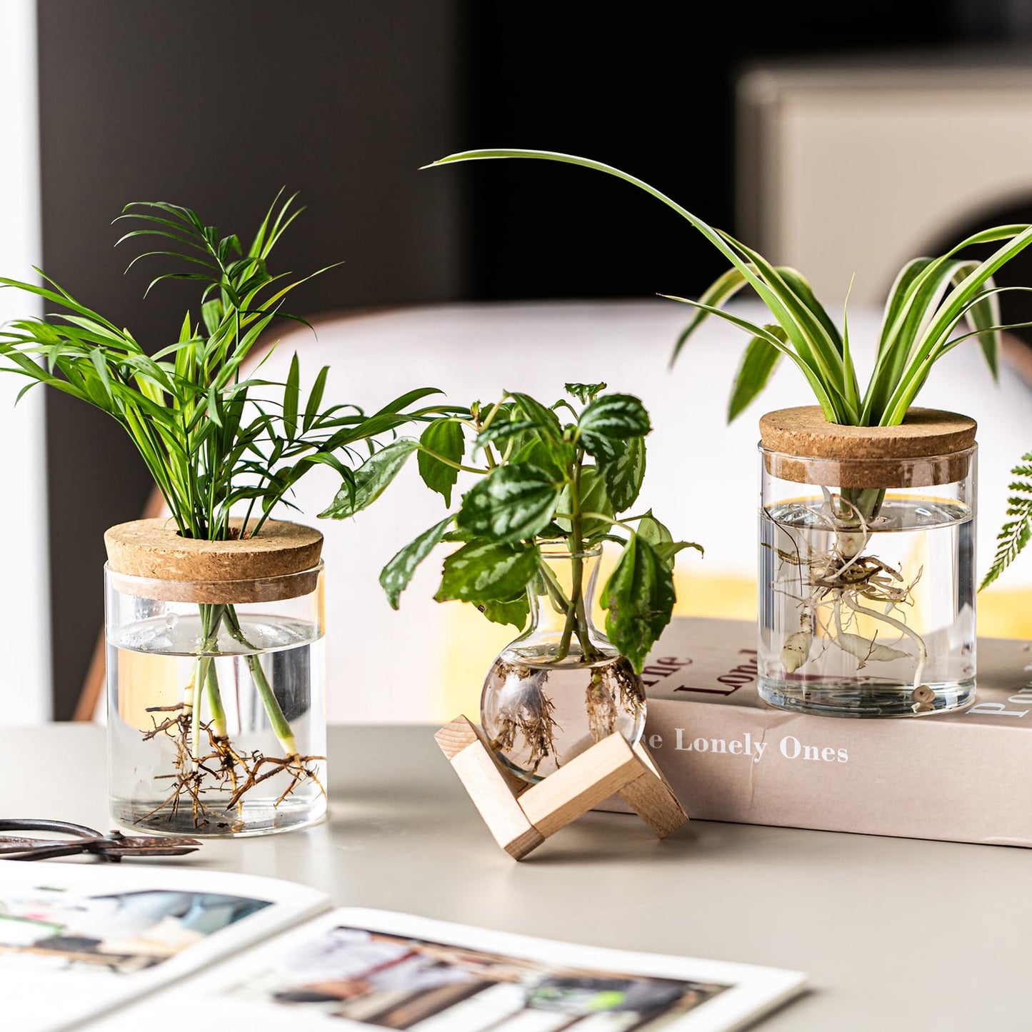 JGKYLDZ Plant Propagation Station, 2 Style Glass Planter Terrarium Set for Hydroponic Plants | Home Office Tabletop Decor, Gardening Gifts for Women, Mom, Plant Lovers (12)