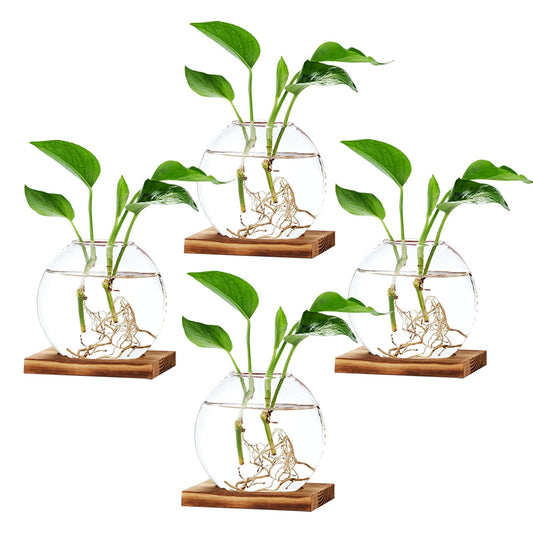 TkoYuHm 4 Pack Plant Propagation Station with Wooden Base Glass Terrariums for Indoor Plants Decorative Round Vases for Flowers Hydroponic Planter for Home Office Decor