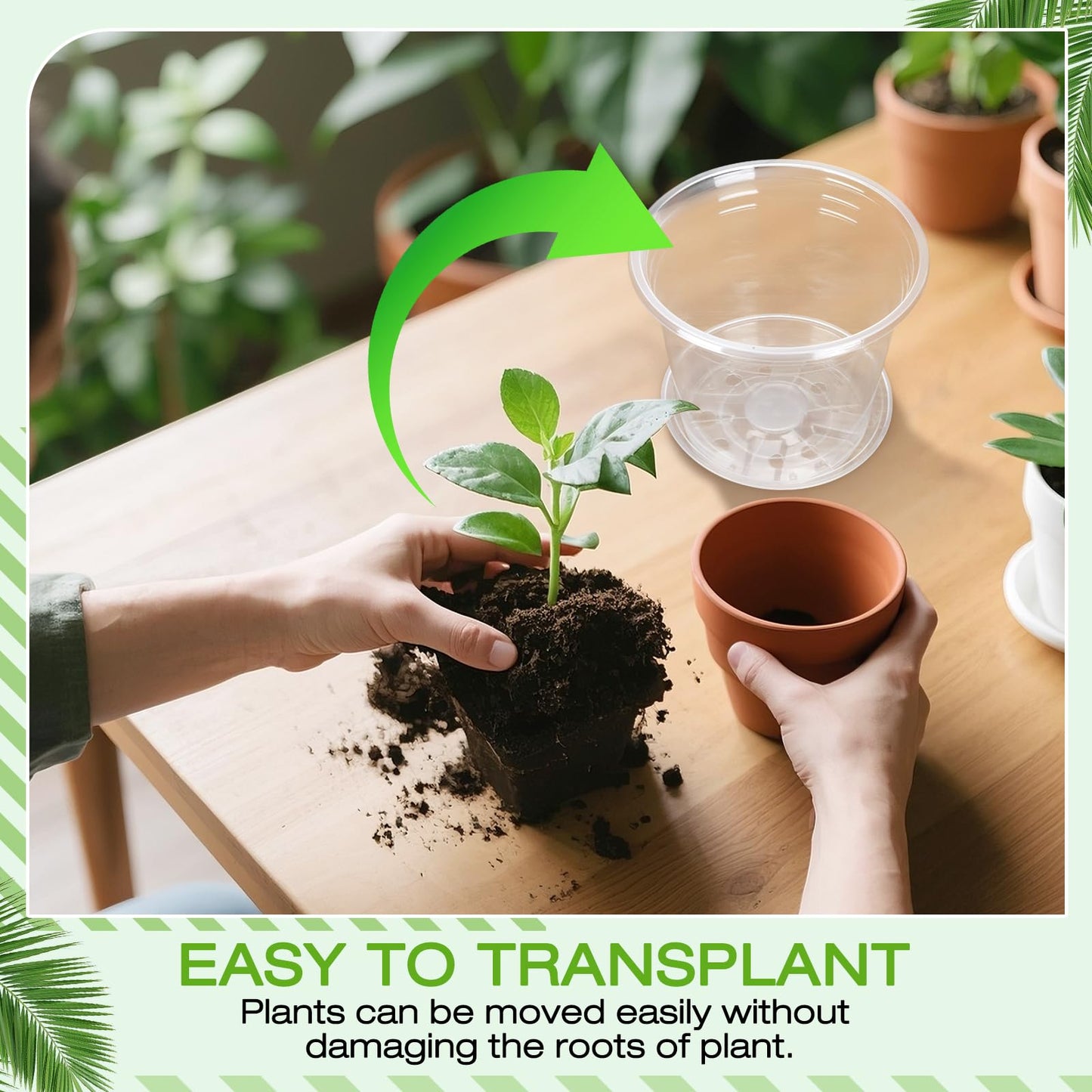 FUOAUYK 5 Inch Clear Nursery Pots with Drainage Trays, 15 Pack Plastic Pots for Plants, Clear Pot for Seed Starting, Transplanting, Succulents, and Indoor Gardening (5 inch)