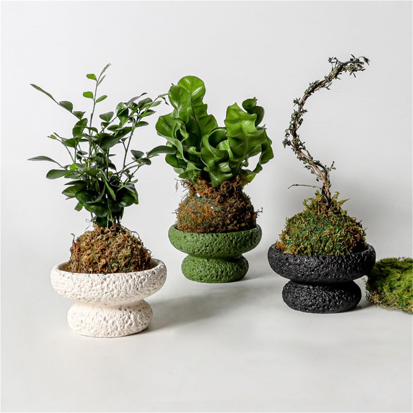FXLTHIYBO Sleek Cement Creative Meteorite Pattern Flower Pot Planter Plants Flowers Bonsai Decoration for Indoor use(Ivory White,Large)