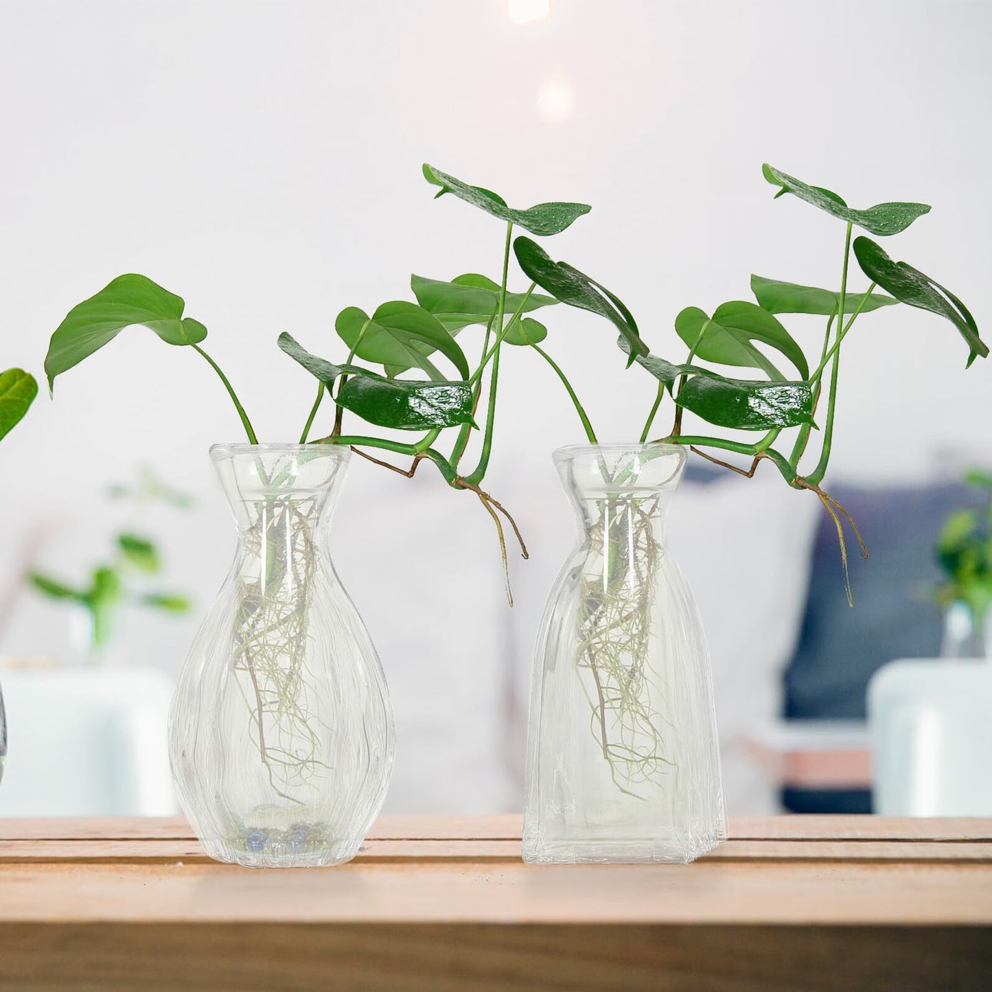 QUMIIRITY 4pcs Glass Hydroponic Vases Terrarium Flower Vase Set for Home Decor Table Centerpiece Glass Containers for Indoor Green Plants
