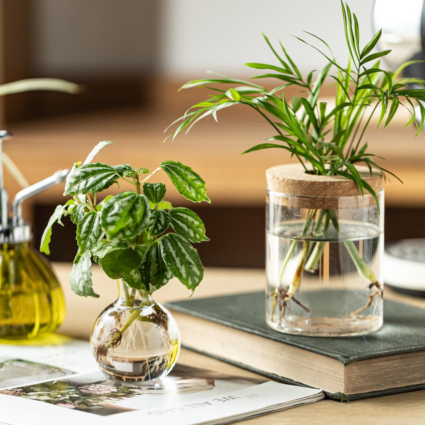 Plant Propagation Stations, 2 Style Glass Planter Terrariums, Propagation Vases for Plant, Plant Propagation Jars for Hydroponic Planter Home Office Tabletop Decoration (6)