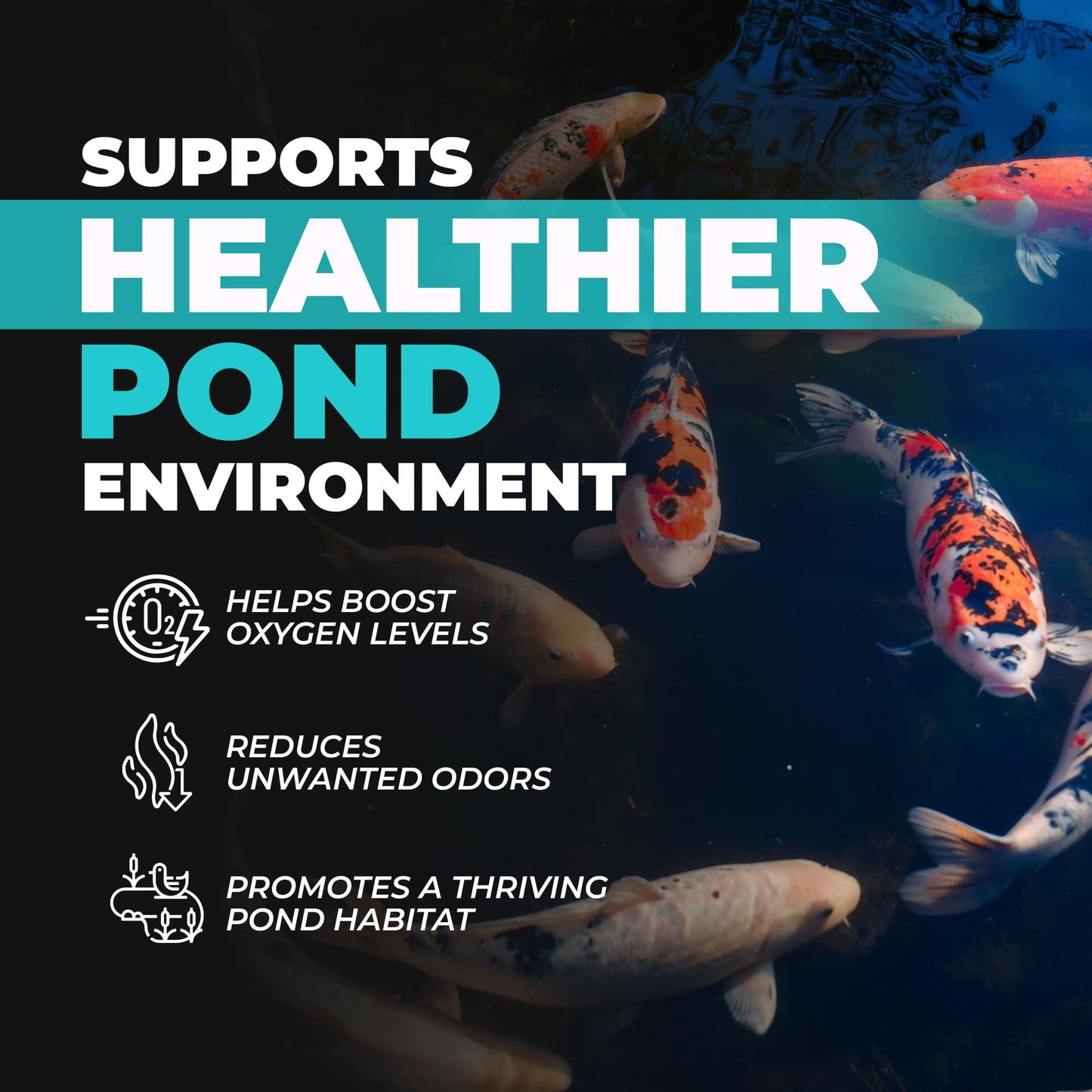 Natural Pond Care Ball – Easy Drop-in Maintenance for Outdoor Ponds and Water Features, Suitable for Fish & Plants, Up to 2500 Gallons – 4 Week Use