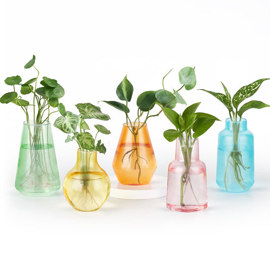 Mkono Propagation Vases for Plants, Set of 5 Small Glass Jar Planters for Hydroponic Cutting Flowers, Plant Station Bud Vases for Centerpieces Home Office Decor Gift, Colorful (Plants not Included)