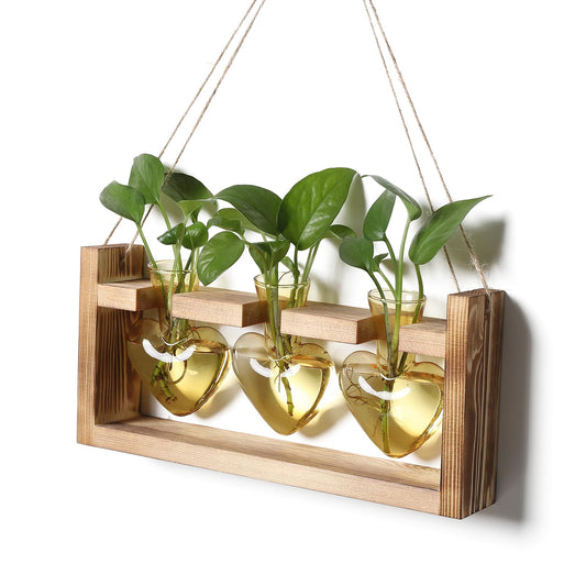 Plant Terrarium Propagation Stations Hydroponics Home Garden Decoration Gift for Women with Wooden Stand Heart Shaped Colored Glass Vase