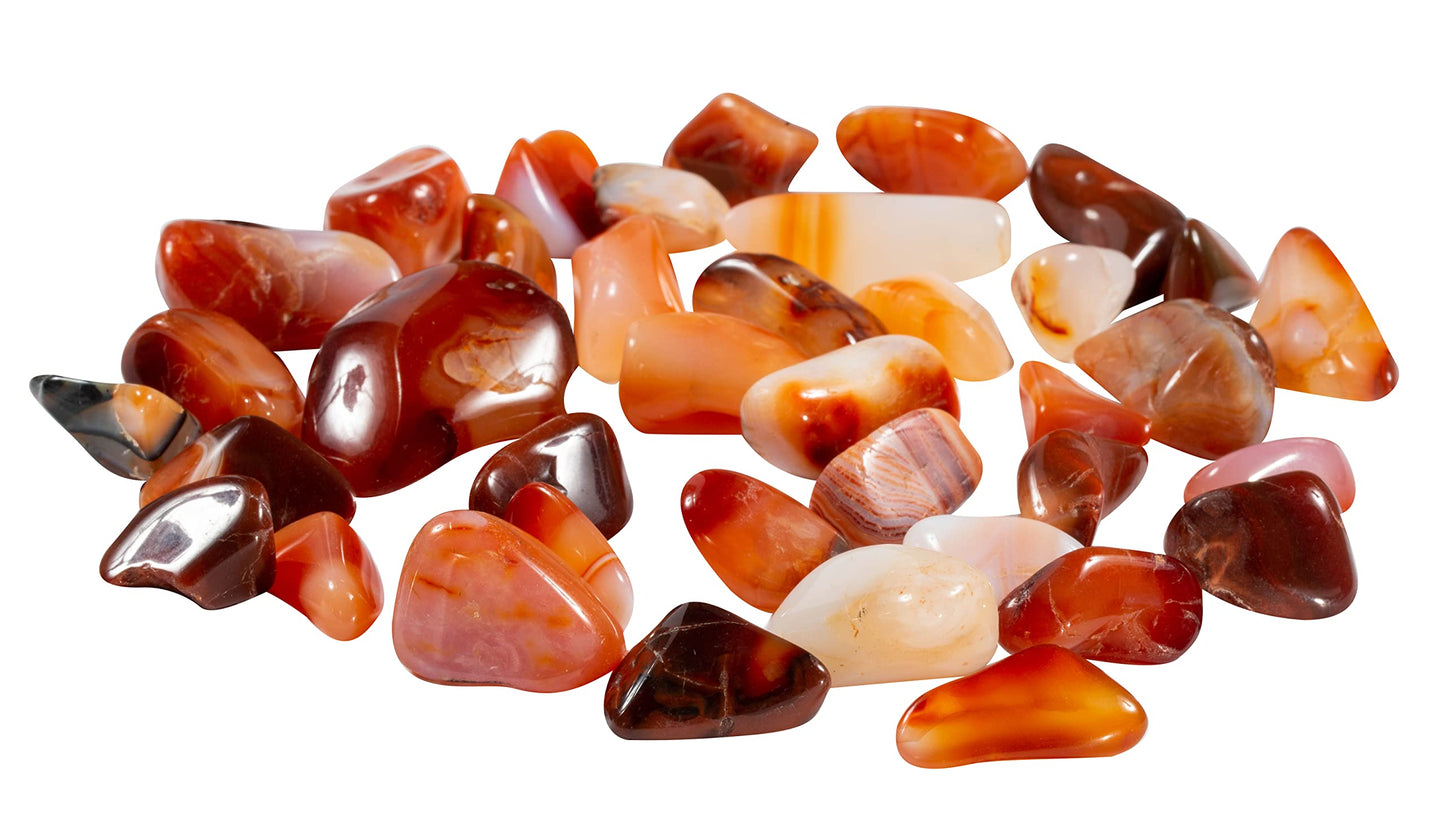 The Chrysalis Stone | Carnelian | Tumbled Stone | Size 0.75" - 1.25" | 1 Pc | Crystals and Healing Stones, Spiritual Gifts for Women, Reiki, Chakra, Witchcraft, Yoga, Meditation Accessories