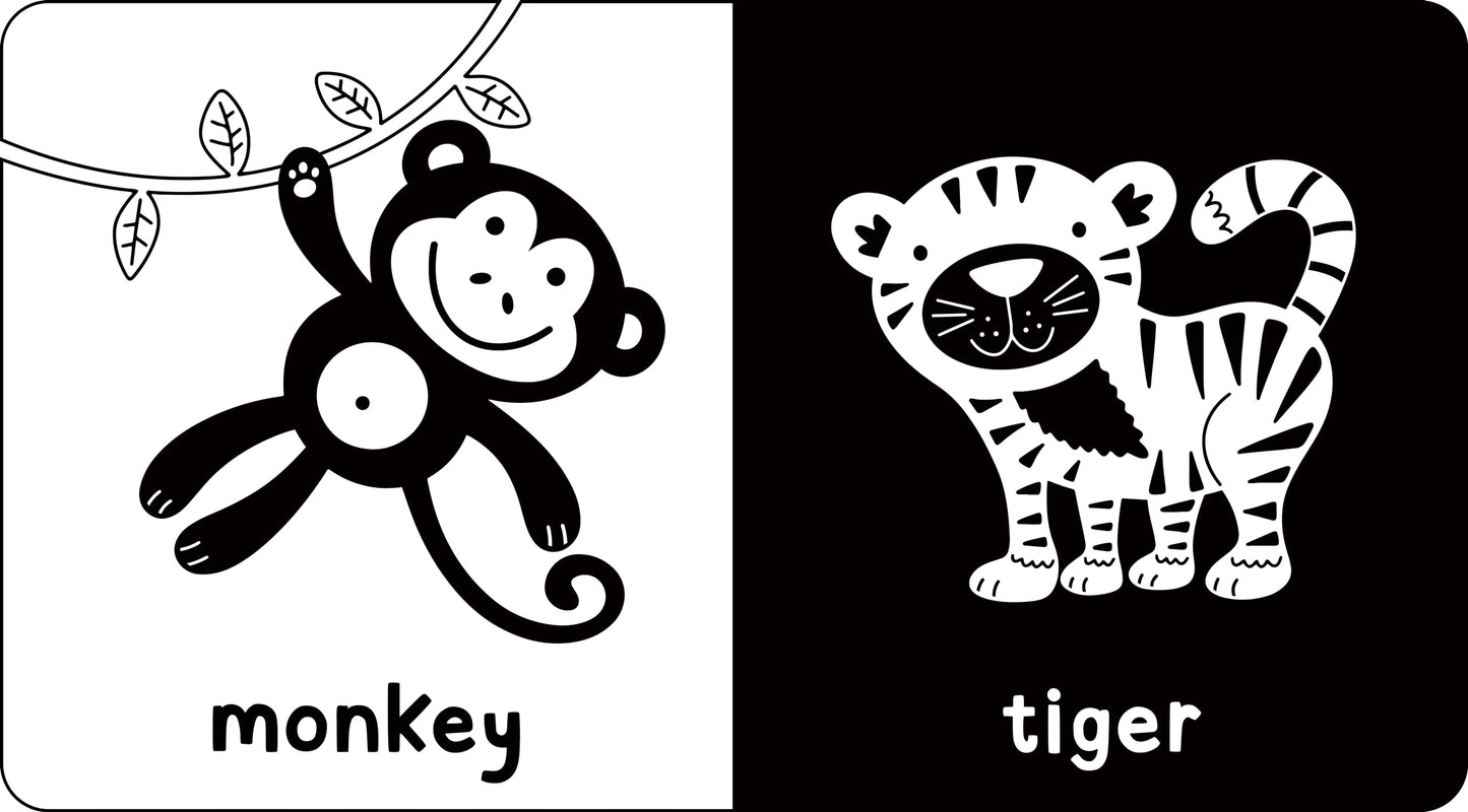 My Little Black and White Board Book Library - Set of 5 High Contrast Board Books (What Does Baby See?)