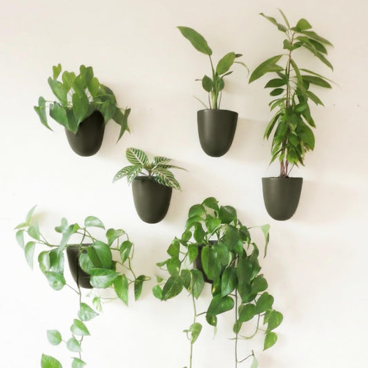 Make Good PlantPod Luxe - Self-Watering Wall Planters (Set of 6, Forest Green) - Easy to Water and Install - Lightweight - Design Your Own Vertical Garden - Wall Planters for Indoor Plants