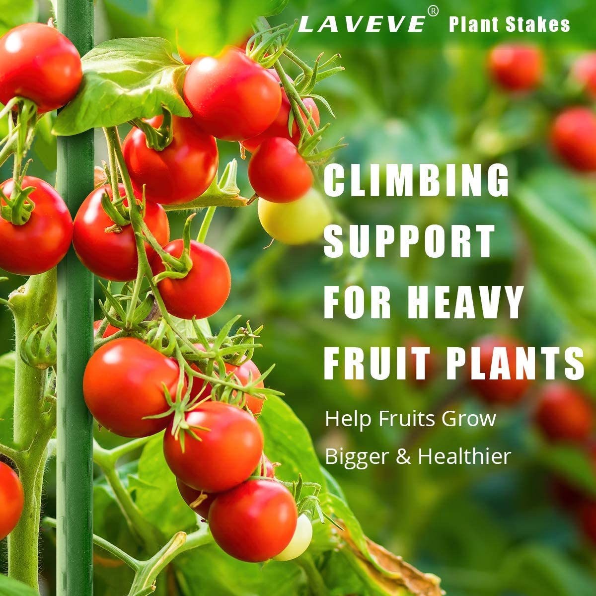 LAVEVE Garden Stakes 58 Inches Heavy Duty Steel Tomato Stake, Plastic Coated Support for Securing Trees, Climbing Plants, Cucumber, Beans, Pack of 20