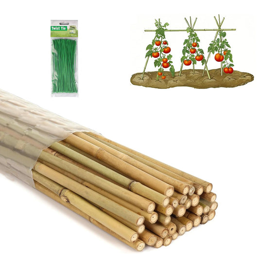4 Ft Bamboo Stakes with 100 Twist Ties Natural Bamboo Garden Stakes for Tomatoes Cucumber Grapes Pole Beans Trees Potted Dahlia Flowers and Climbing Plants - Pack of 25