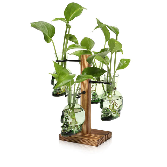 Plants Propagation Stations Skull Glass Propagation Birthday Gift for Women Garden Plant Lovers - 4 Skull