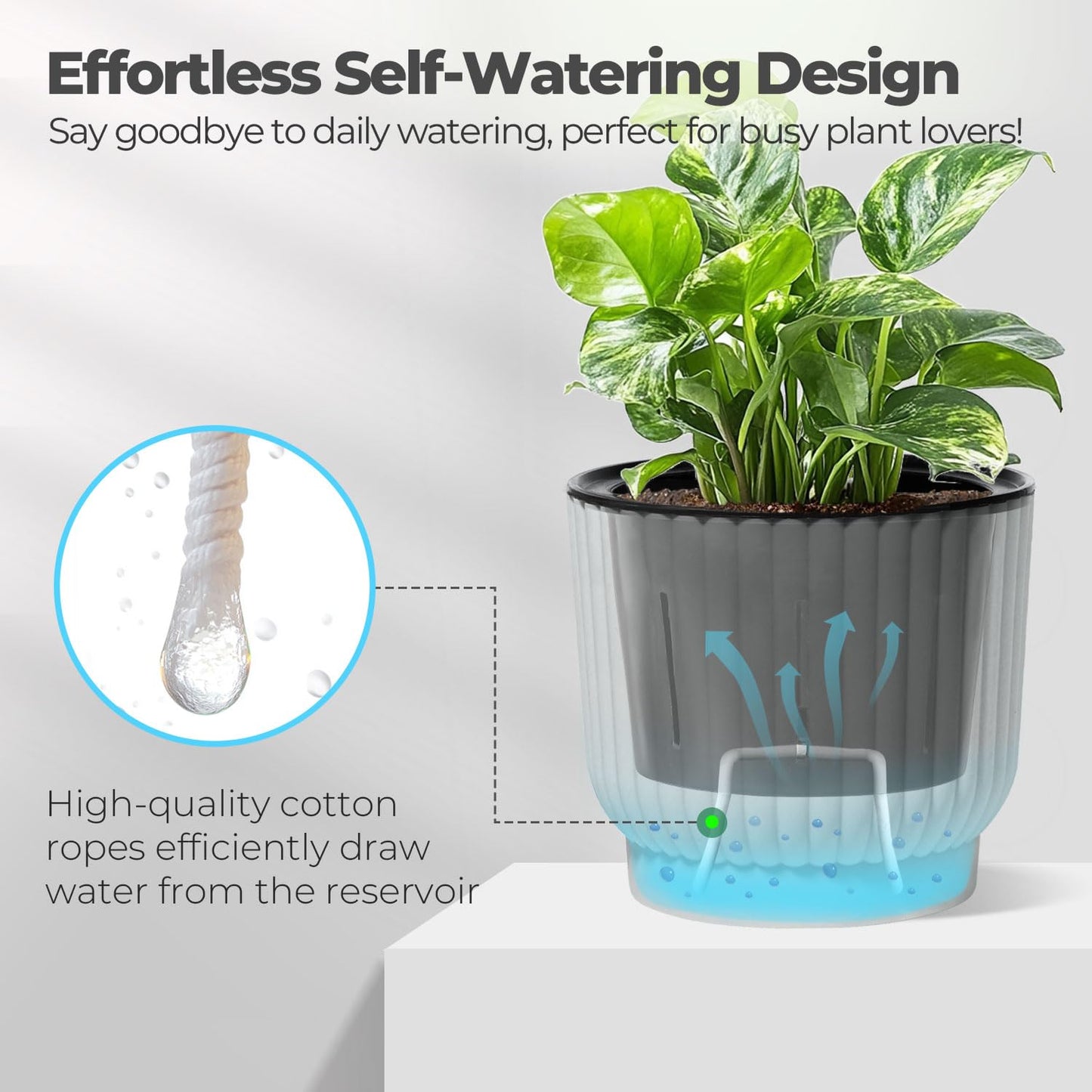 T4U 6 Inch Self Watering Pots for Indoor Plants, 6 Pack Plant Pots, Self Watering Planter for Indoor Plants, Durable Plastic Pots, Flower, Succulents (6 Pack, 6", White)