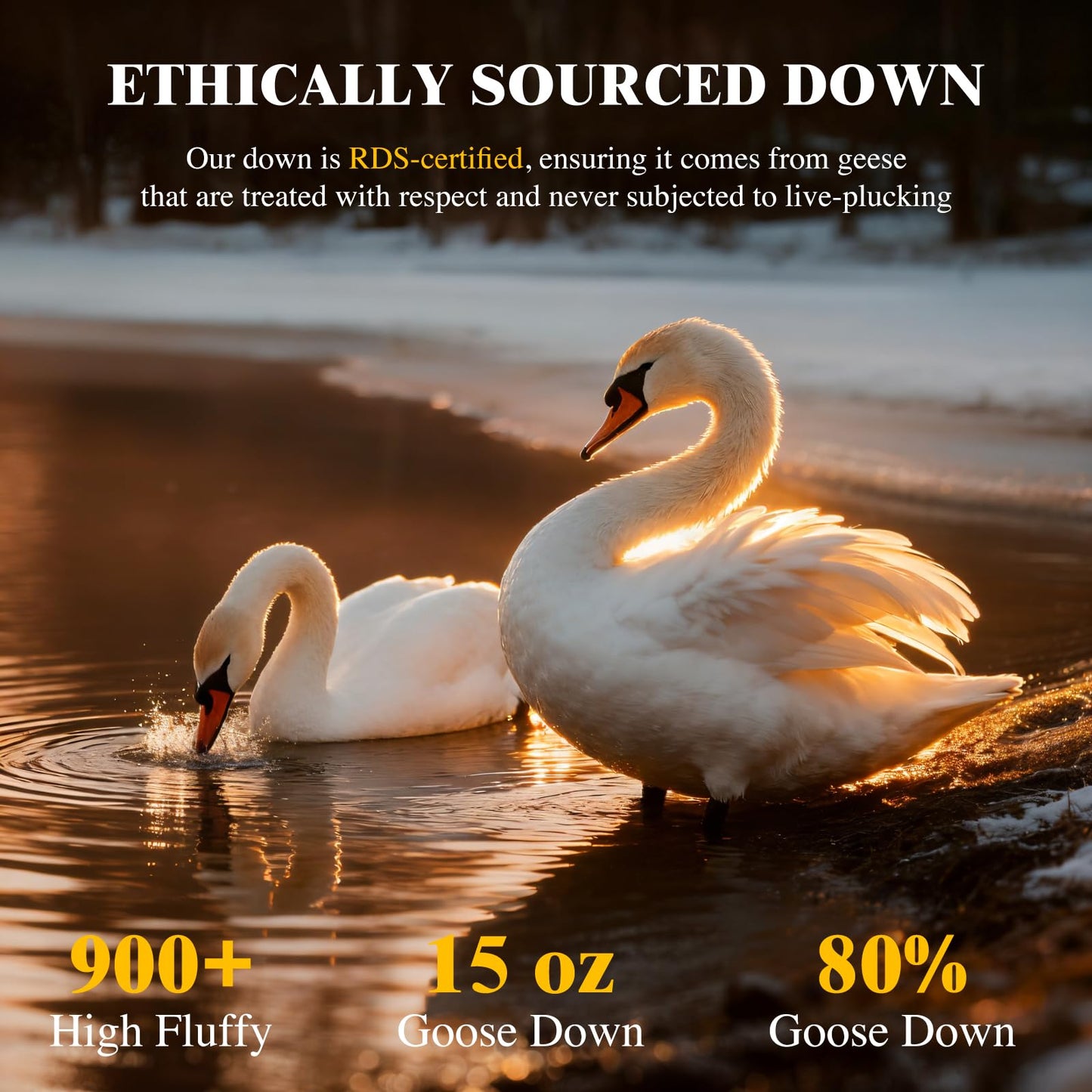 Luxury Canadian White Goose Down Pillow Queen Size Set of 2, 900+ Fill Power, 600 TC Cotton Shell, Soft Down Pillows for Sleeping, Hotel Collection Pillow for Neck Pain Relief (2 Pack, 20"x30")