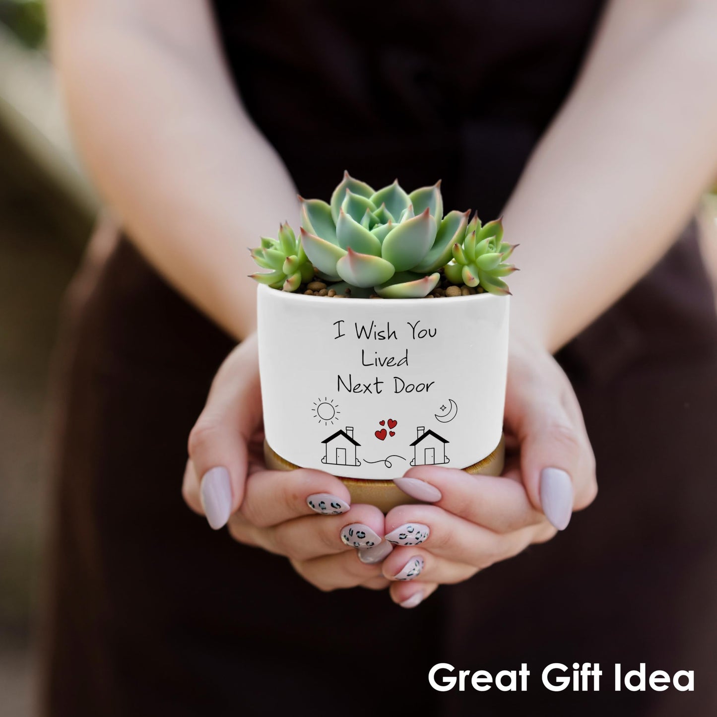 ROXMART Gifts for Best Friend Woman Plant Pots, Friendship Bestie BFF Gifts Succulent Planters, I Wish You Lived Next Door Ceramic Plant Flower Pots for Home Office Desk Table Shelf(No Plants)