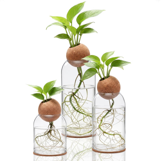 Baderke 3 Pcs Glass Plant Propagation Stations for Plants with Spherical Lids and Cork Coasters Hydroponic Spherical Cork Planter Desktop Vases for Plants Cuttings Home Office Tabletop Decor
