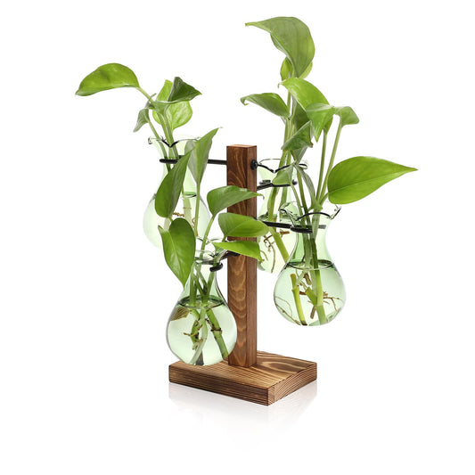 Plants Propagation Stations Bulb Glass Propagation Birthday Gift for Women Garden Plant Lovers - 4 Bulb