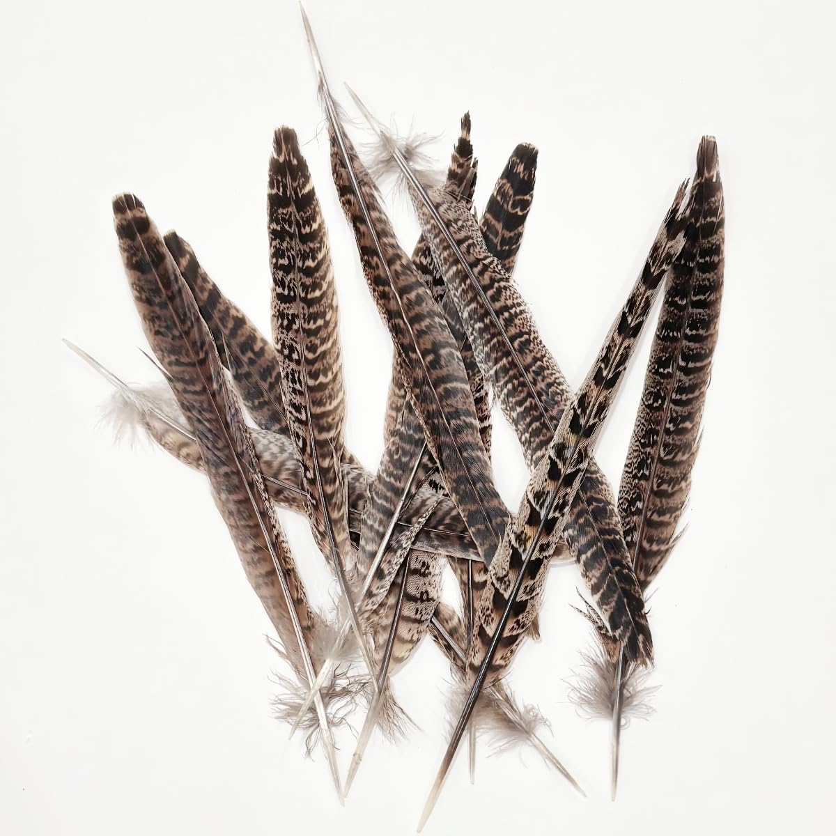 Female Pheasant Feathers Bulk 10pcs,Natural Long 8-10 inch (20-25cm) Feathers,for Crafts DIY Party Festival Centerpieces and Hat Clothing Decoration (Female Pheasant)