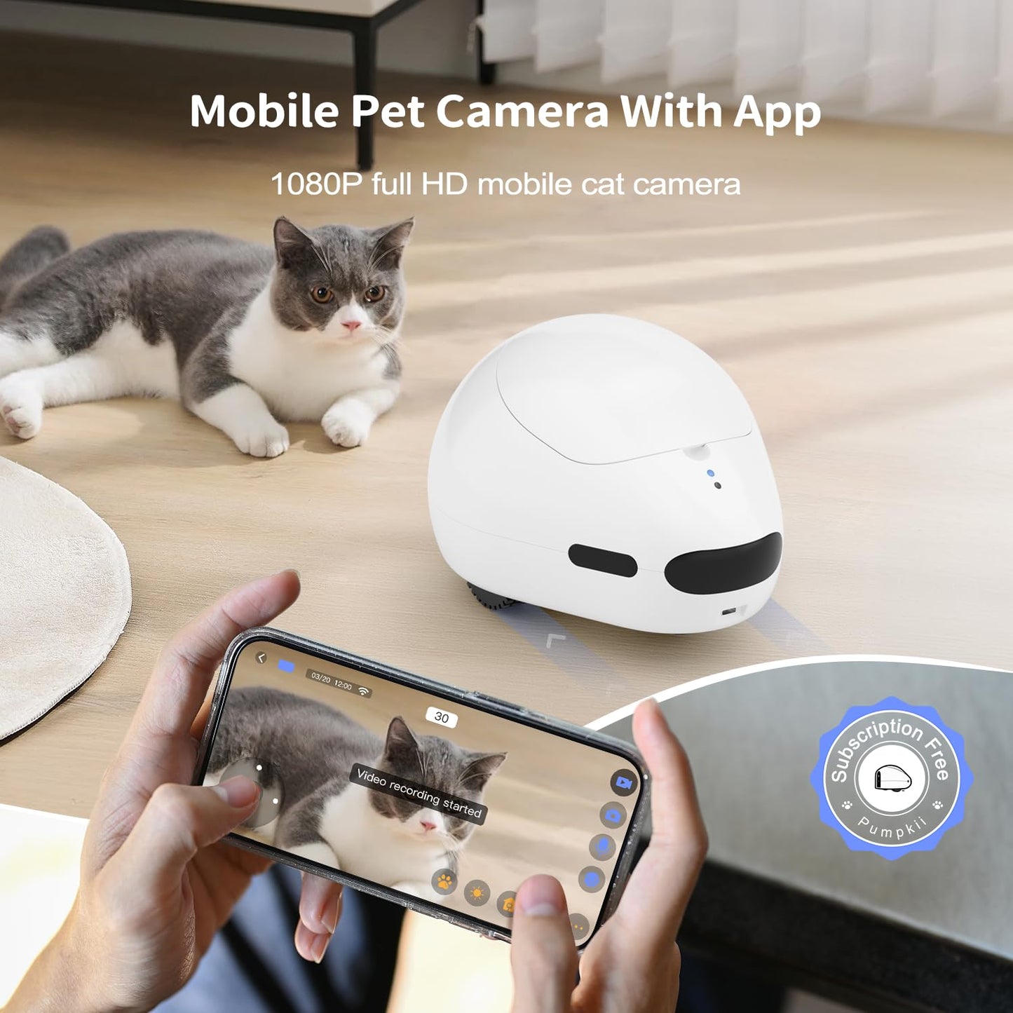 pumpkii Cat Camera with Interactive Pointer Toy, Moving Robot for Dog and Cat, Mobile Pet Camera Treat Dispenser with Phone App, Auto Recharging and Night Vision, Two-Way Audio (2.4G Wi-Fi Only)