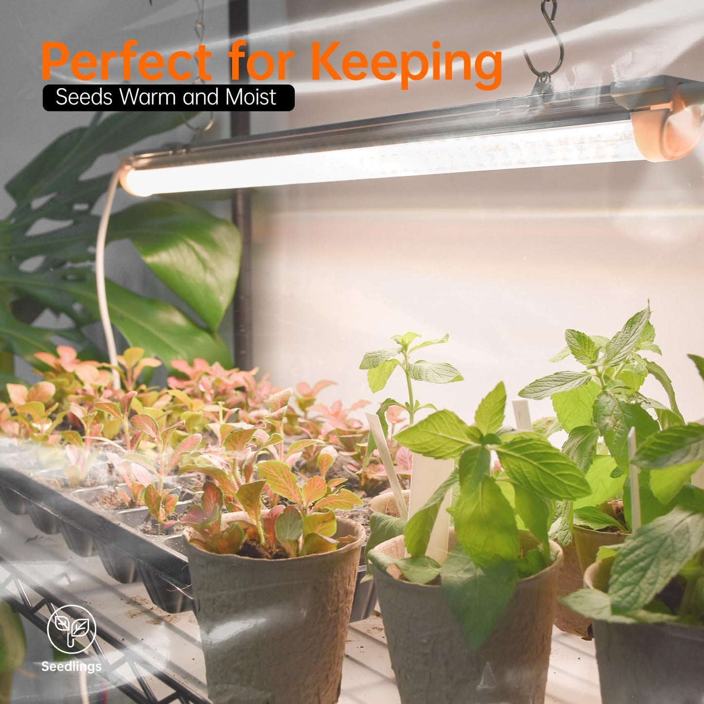 Bstrip Indoor Greenhouse with Grow Light, 23.5"x13.8"x59" Portable Metal Greenhouse Shelves with T8 2FT Full Spectrum Grow Light & Timer, Adjustable Plant Stand for Indoor Plant, Spring Seed Starting