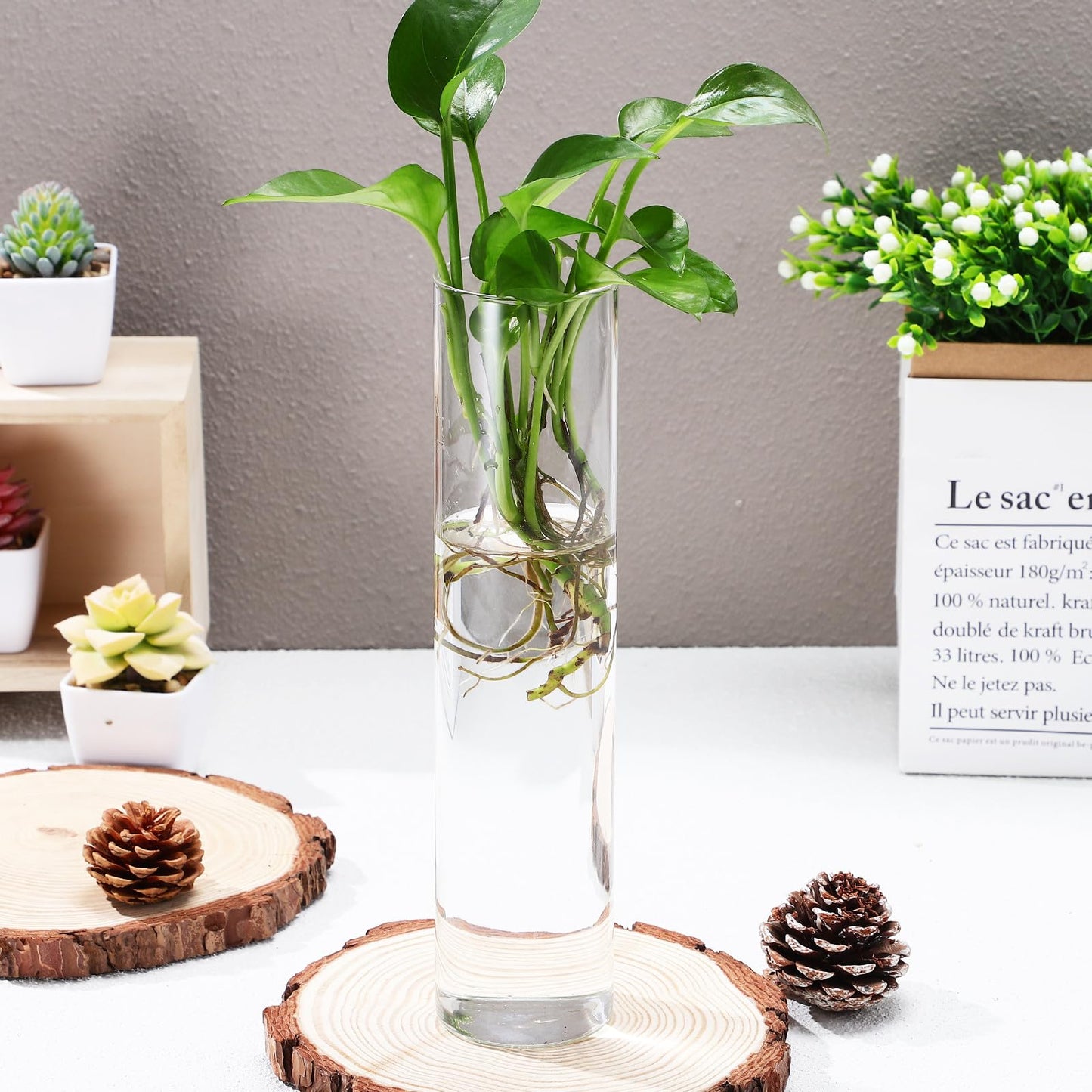 Beavorty Cylinder Glass Wall Vase Set for Propagation Stations, 2pcs Hanging Terrarium Plants Holder, Glass Wall Planter for Indoor Hydroponic Plant Display and Modern Home Décor