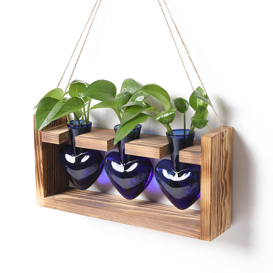 Plant Terrarium Propagation Stations Hydroponics Home Garden Decoration Gift for Women with Wooden Stand Heart Shaped Colored Glass Vase