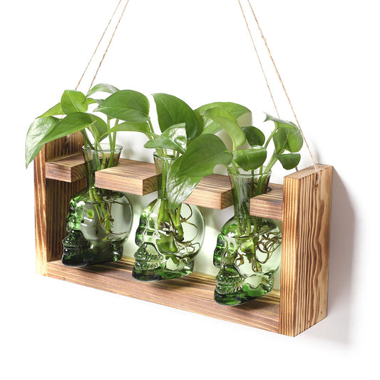 Plant Terrarium Propagation Stations Hydroponics Halloween Skull Planter Vase Skulls Decor with Wooden Stand Gift for Father