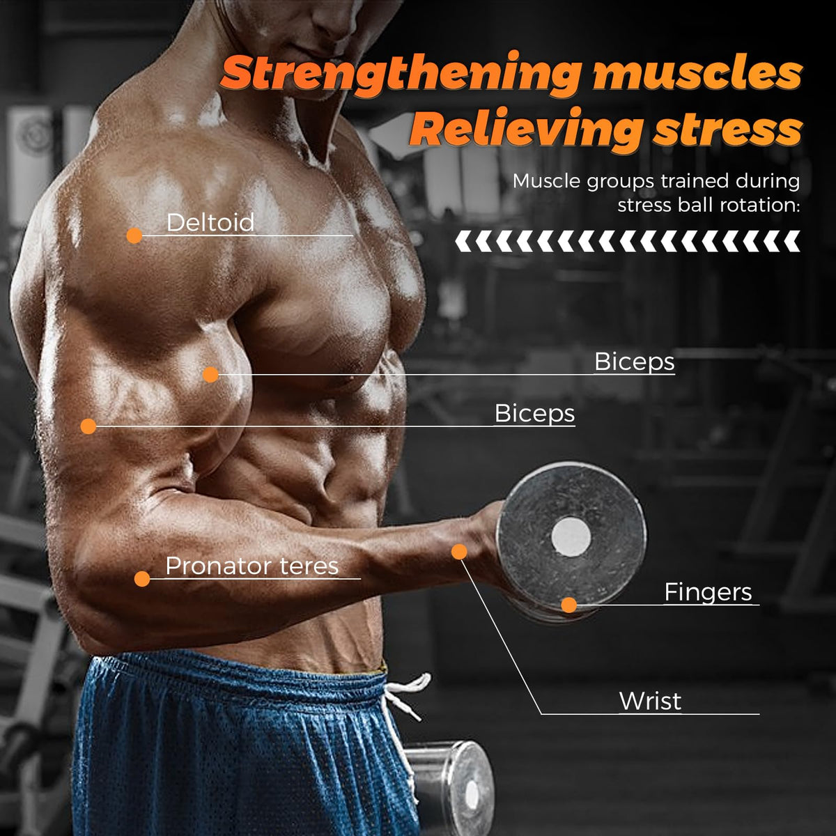 BeSokar Fullmetal Gyroball Wrist Exerciser Ball Auto Start 5 Level Resistance Gyroscopic Forearm Trainer Arm Strengthening Arm Finger Wrist