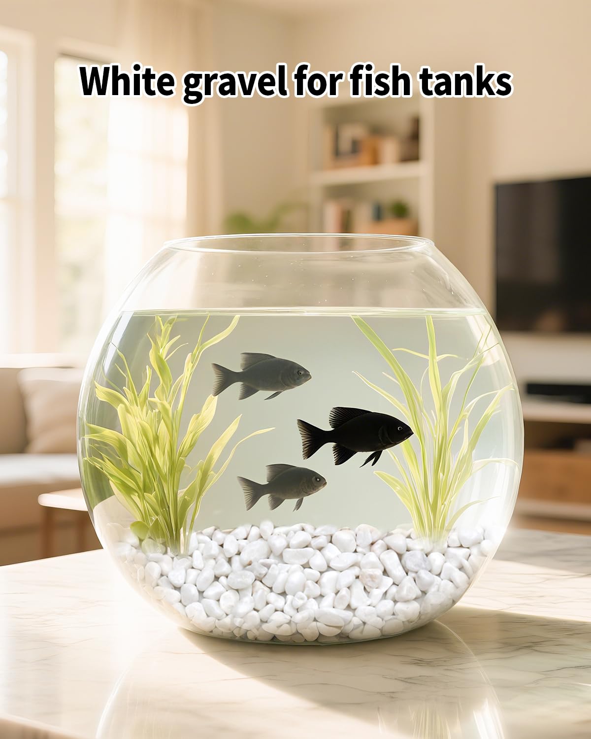 FAHAXIKI 6LB White Succulent & Cactus Gravel Pebbles - 1/4-3/8 Inch Natural Polished River Rocks, Decorative Stones for Plants, Terrariums, Vases, Aquariums & Outdoor Gardening