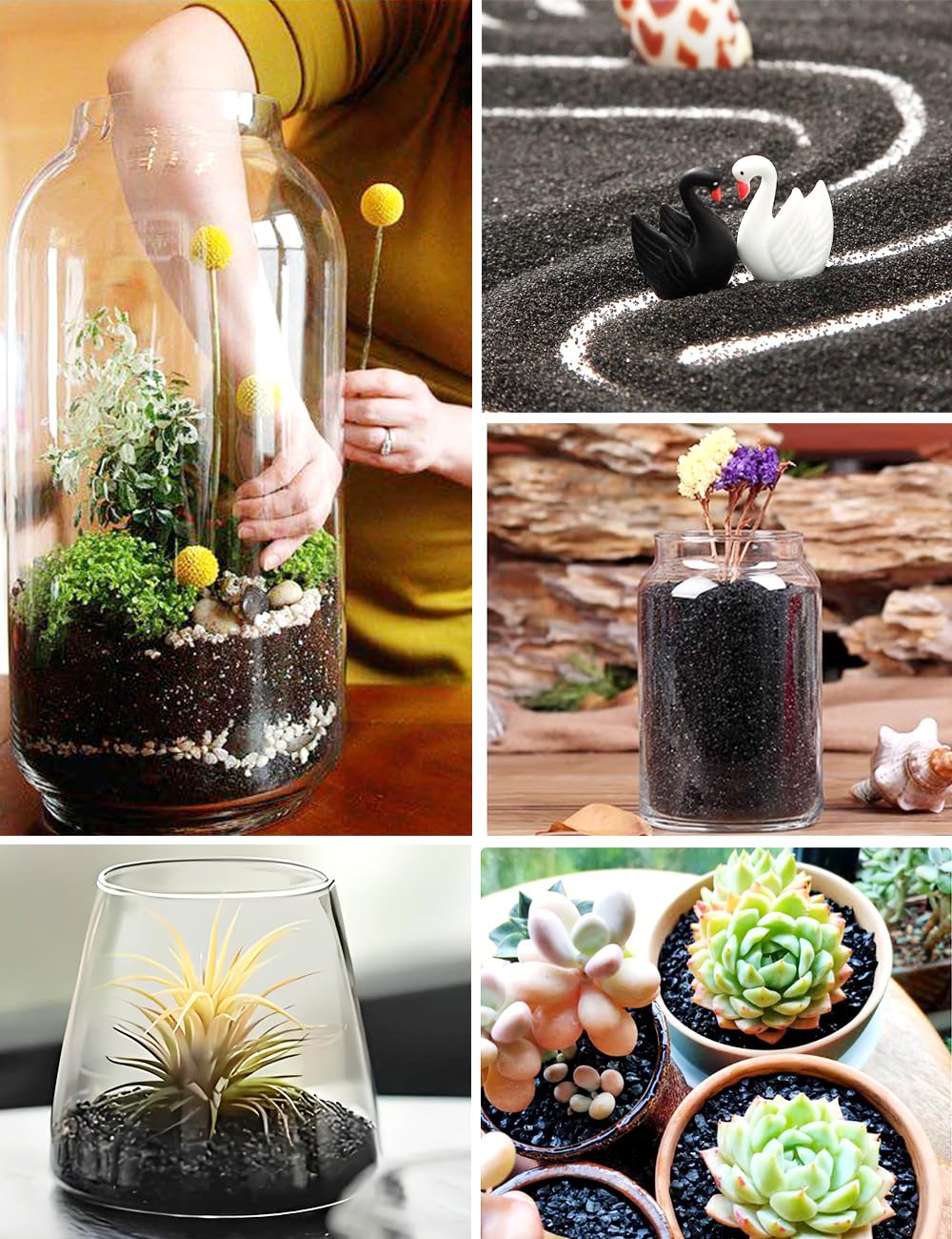 TOYPOPOR 6lb Succulents and Cactus Black Sand, Décor & Additive Tiny Stones, DIY Rocks Gravel, Decorative Pebbles for Bonsai, Fairy Gardening, Terrarium, Vases Fillers, Top Dressing