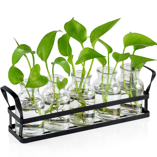 jkwokback Propagation Stations Indoor Decor Planters Terrarium with Stand,Propogation Planter Glass with 5 Air Plant Terrarium for House Plants Hydroponic Home Garden Office Decoration