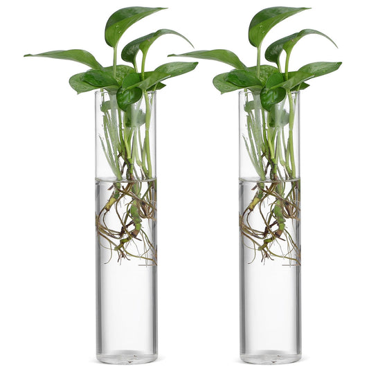 SILENRADAWN Cylinder Glass Wall Vase Set 2pcs Hanging Hydroponic Flower Tube Vases for Indoor Plants Wall-Mounted Plant Holders Decorative Terrarium Containers for Home and Office