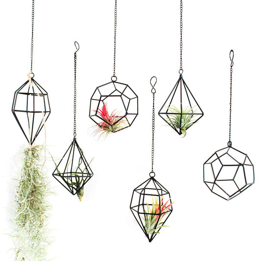 libproqia 6 Pack Geometric Air Plant Holders for Wall Hanging, Black Metal Tillandsia Decor for Boho Home, Office & Shelf Styling