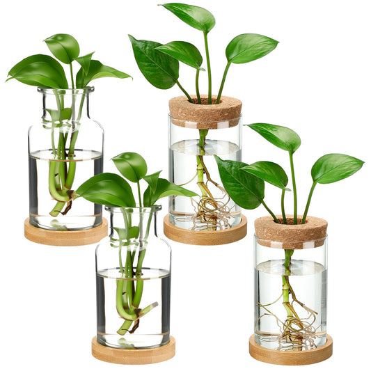Layhit 4 Pcs Plants Propagation Stations vases Glass Planters with Wooden Lid and Bamboo Stand for Hydroponic Plants Gardening Gifts for Women Mom Home Office Tabletop Decoration(Wide Mouth Style)