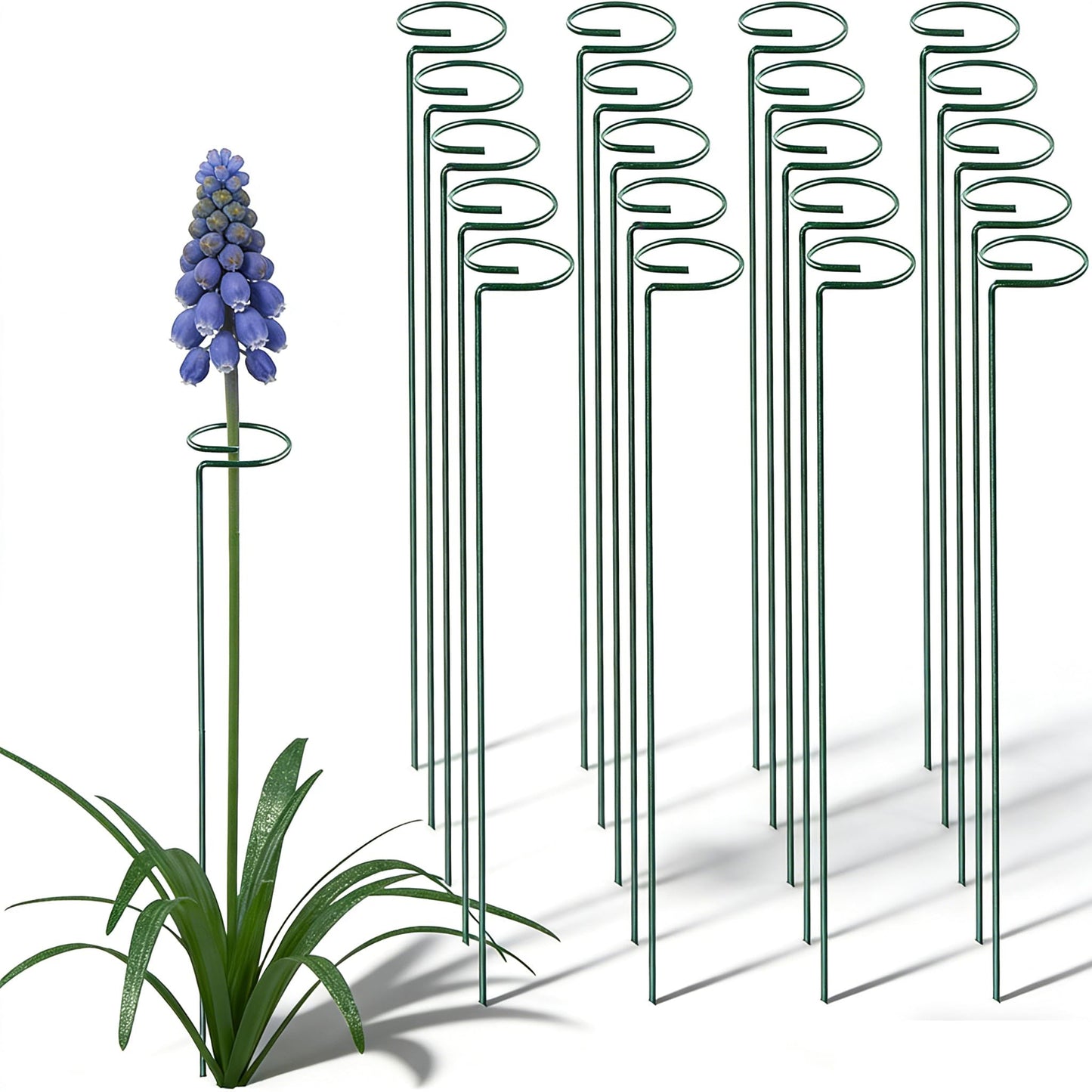 20 Pieces 16 inch Green Single Stem Plant Stakes Garden Plant Support Rings Flower Support Hoops Prop for Amaryllis Orchid Lily Rose Peony Gladiolus