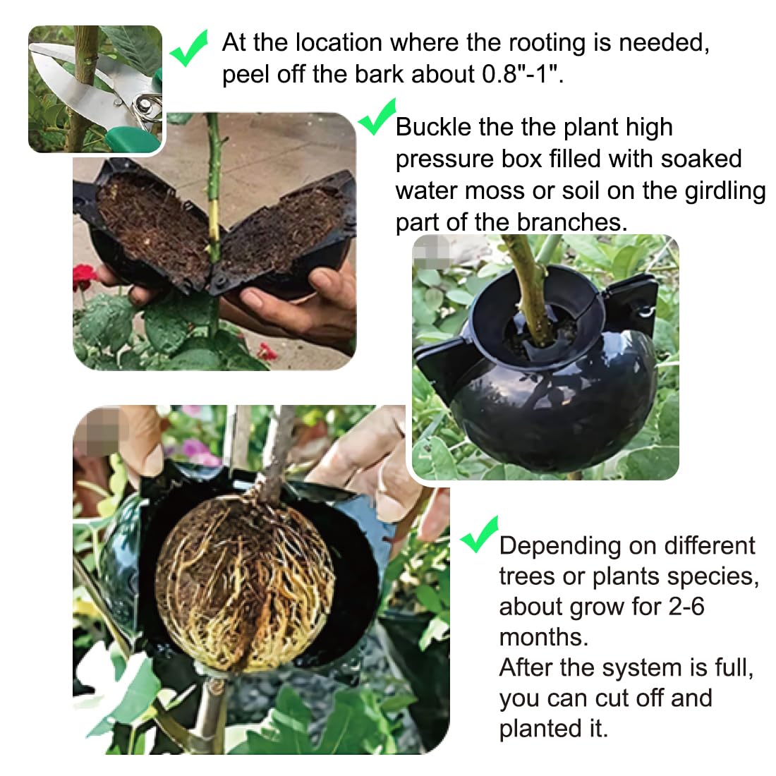 MIIIM 20 PCS Air Layering Propagation Kit with Zip Ties, Reusable Grafting Ball, Clear Air Layering Pods, Rooting Ball for Fast Propagation (Small)