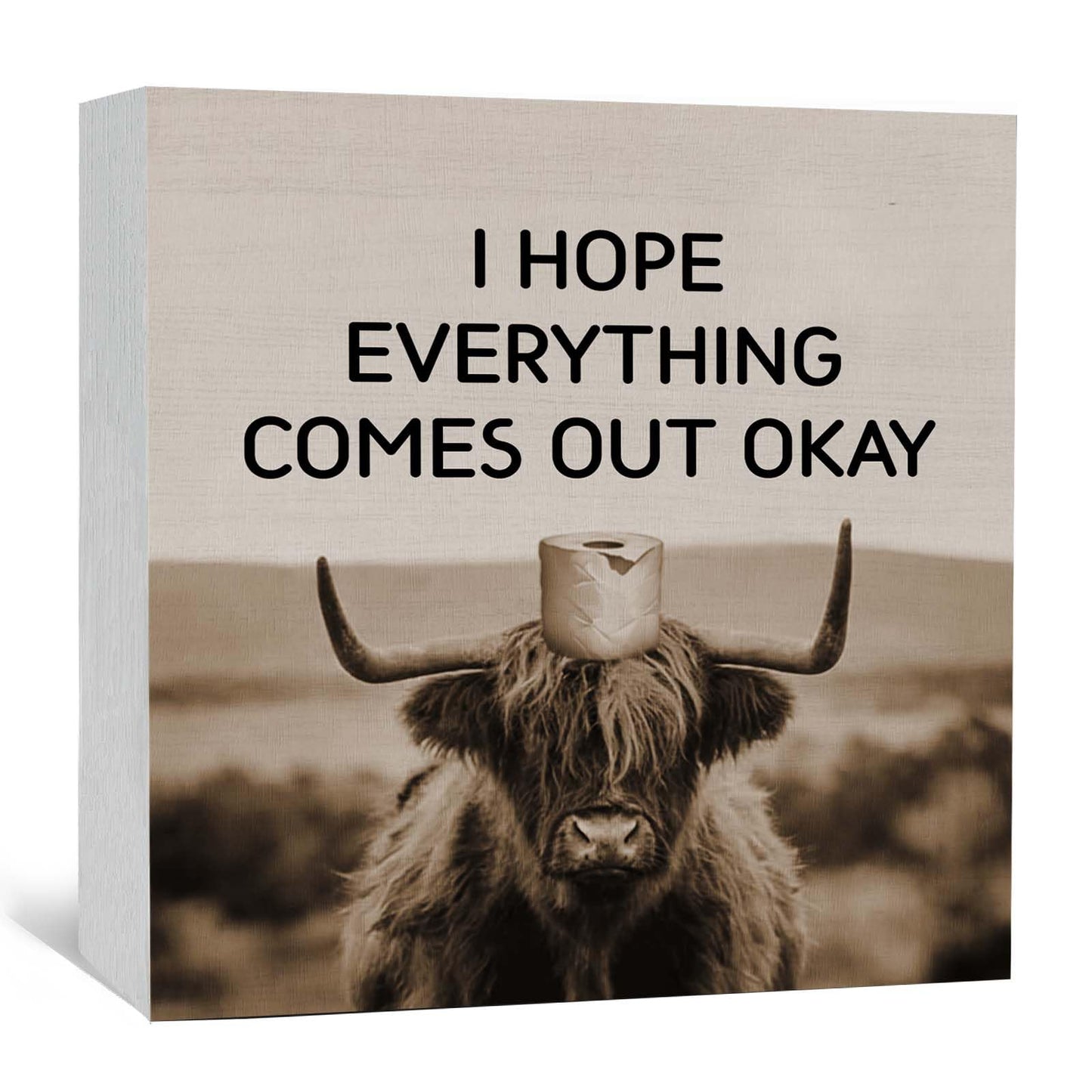 GWOKPAAI Funny Highland Cow Bathroom Wooden Box Signs Desk Decor, Highland Cow Bathroom Decor, I Hope Everything Comes Out Okay Wooden Signs Desk Decorations for Washroom Toilet Shelf Wall, 5x5in