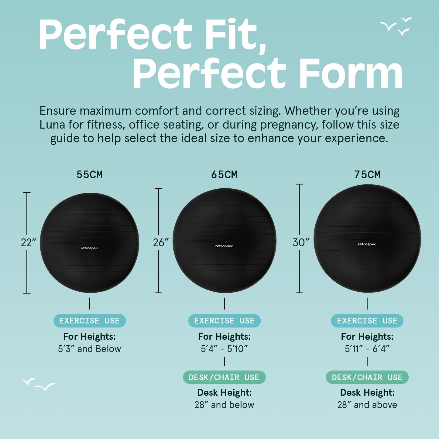 Retrospec Luna Exercise Ball with Pump - Anti-Burst Fitness Equipment for Yoga, Core Training & Stability - Home Gym Swiss Ball for Office & Pregnancy